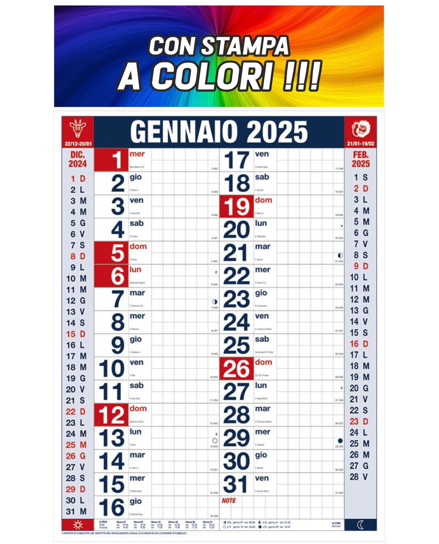 Olandese Quadretti 2025