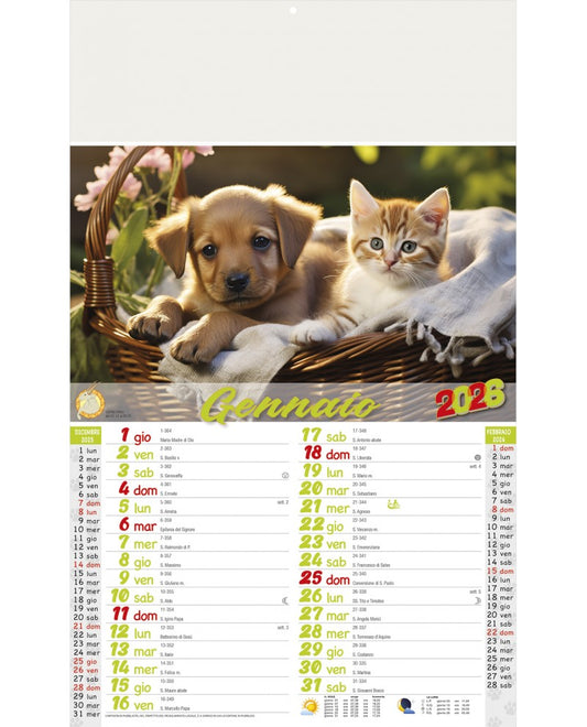 Ilustrato Cani e Gatti 2026