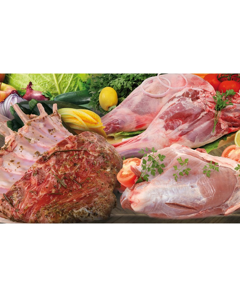 Ilustrato Carne 2026