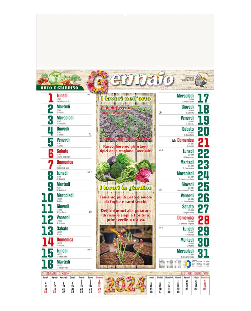 Calendario Illustrato 12 Fogli