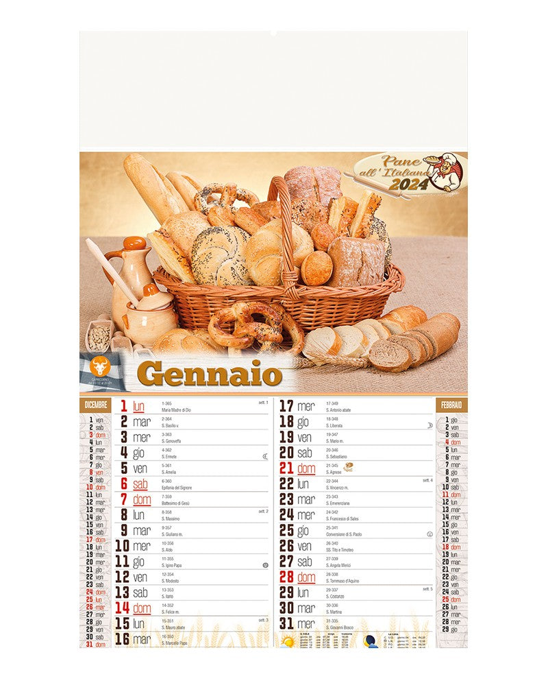 Calendario Illustrato 12 Fogli