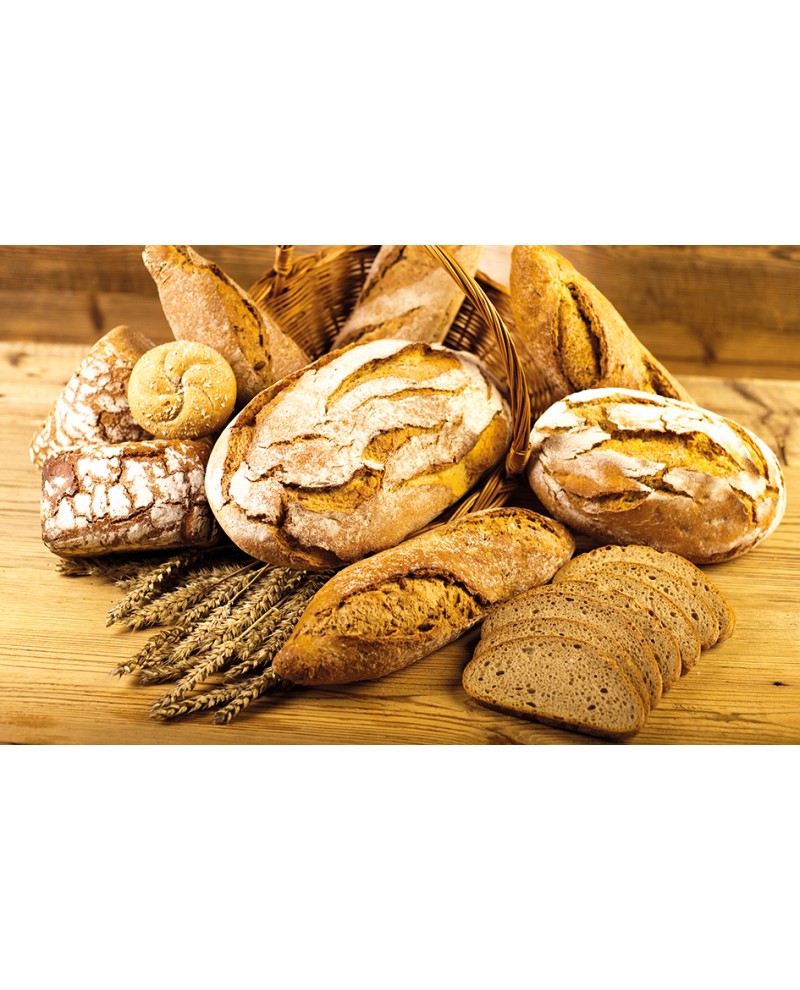 Illustrato Pane 2026