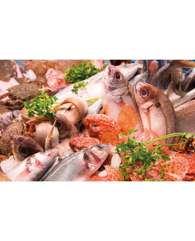 Illustrato Pesce 2026