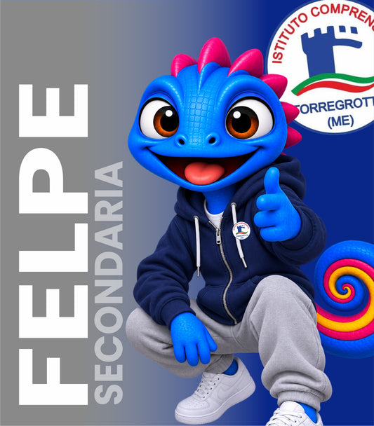 Felpa Scuola Secondaria I.C. Torregrotta PESANTI