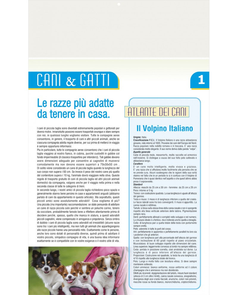 Ilustrato Cani e Gatti 2026