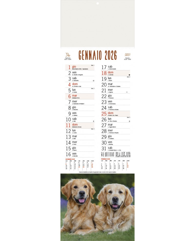 Silhouette Illustrati 2026